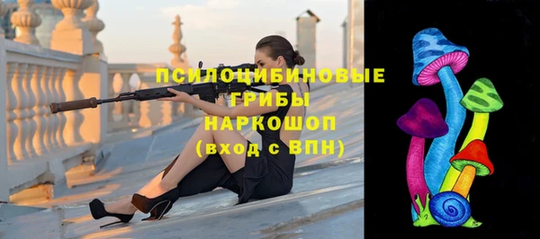 дурь Нязепетровск
