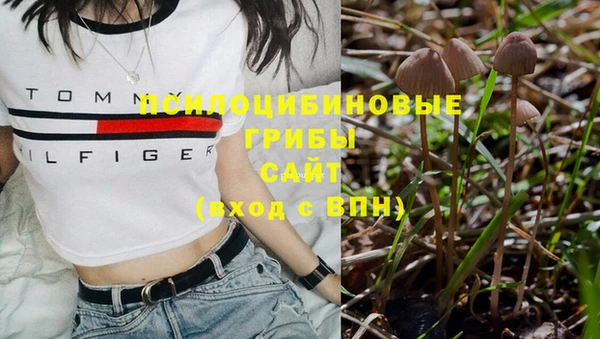 тгк Няндома