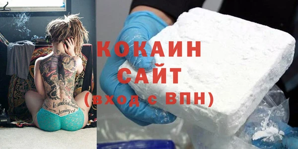 тгк Няндома