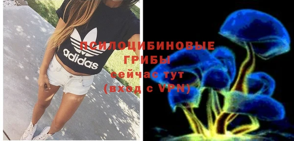 герыч Нягань
