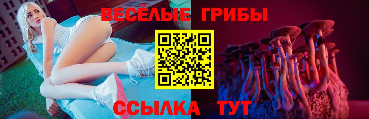 Псилоцибиновые грибы Magic Shrooms Саров