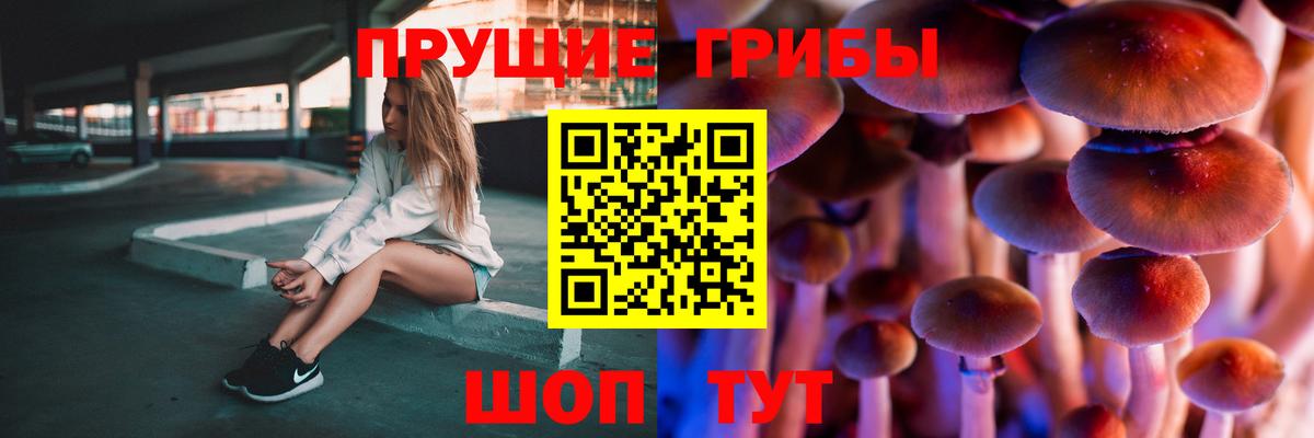 Псилоцибиновые грибы Psilocybe  Галлюциногенные грибы GOLDEN TEACHER  Саров  Вход с VPN 